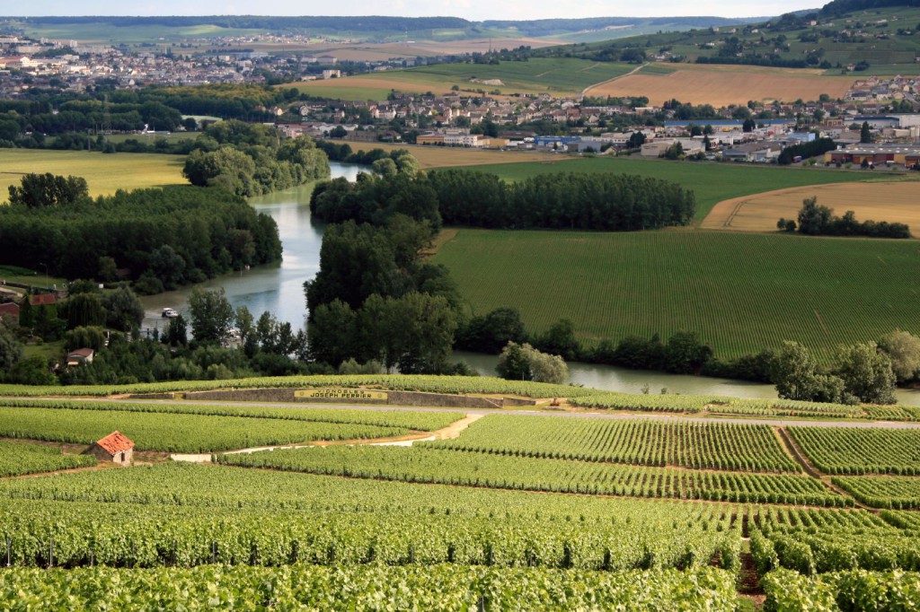 Vignoble en Champagne avec rivière